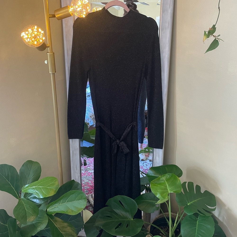 Sparkly Ann Taylor Sweater Dress